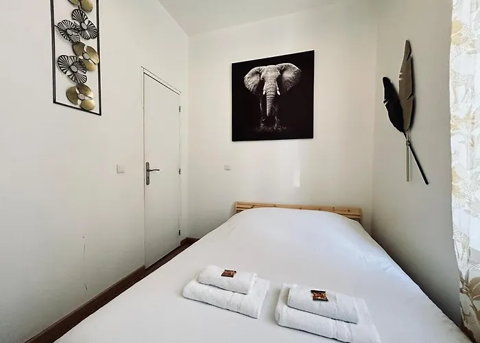 Chavalliaud 1 Rez De Chaussee Apartment Reims